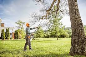 Best Tree Health Inspection  in Auburn Lake Trails, CA